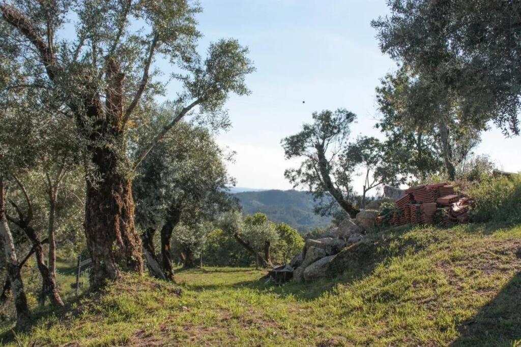 Cantinho Da Pereira Lugar Bagian luar foto