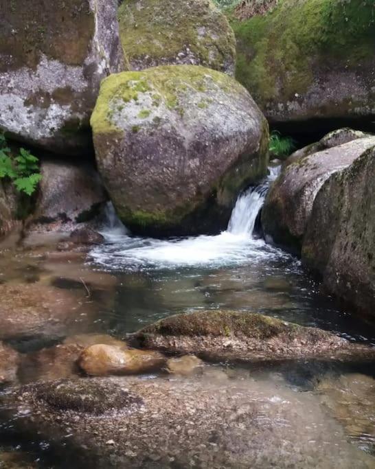 Cantinho Da Pereira Lugar Bagian luar foto